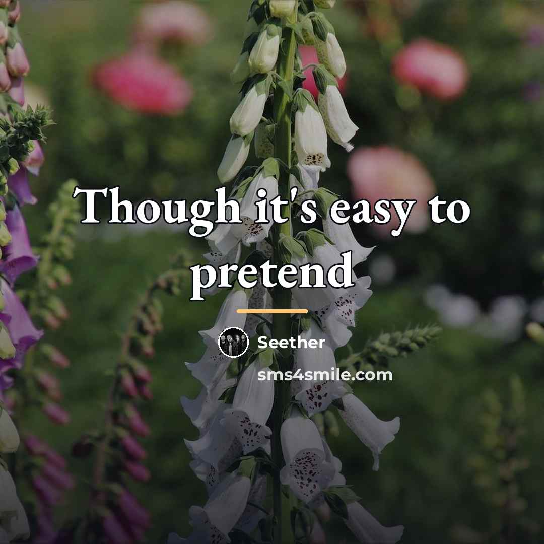 “Though it's easy to pretend…” quote by Seether