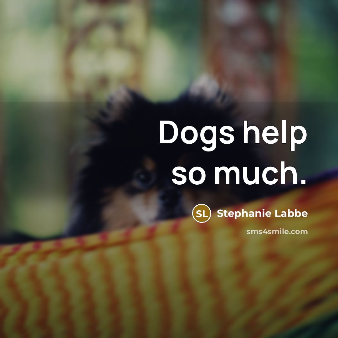 “Dogs help so much.…” quote by Stephanie Labbe