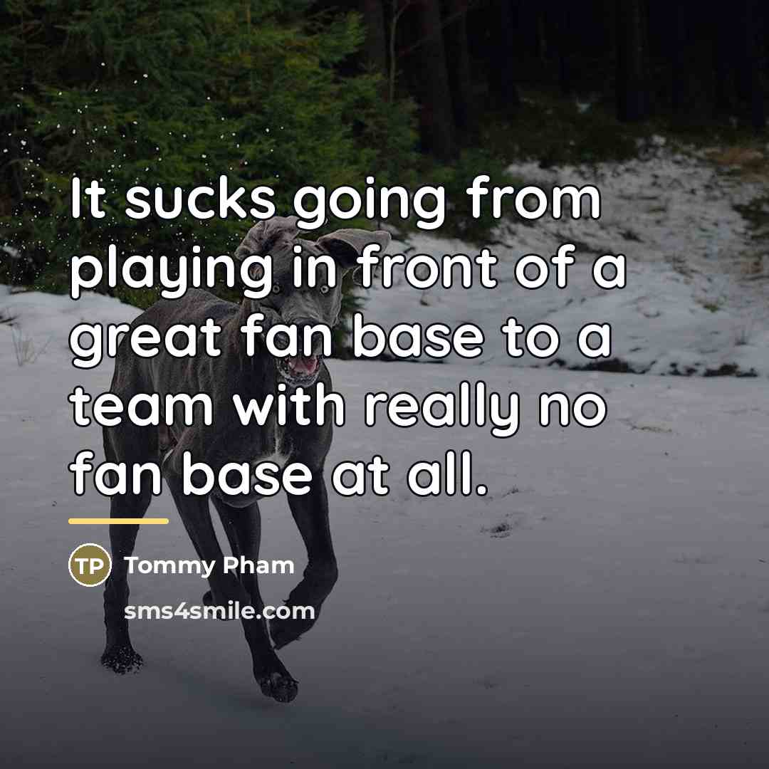 “It sucks going from playing in front of a great…” quote by Tommy Pham