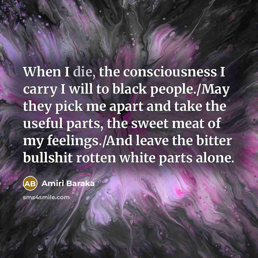 “When I die, the consciousness I carry I will to…” quote by Amiri Baraka
