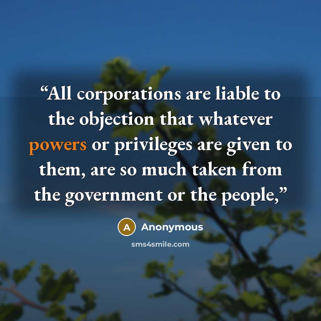 “All corporations are liable to the objection that whatever powers or privileges are given to them, are so much taken from the government or the people,” quote by Anonymous