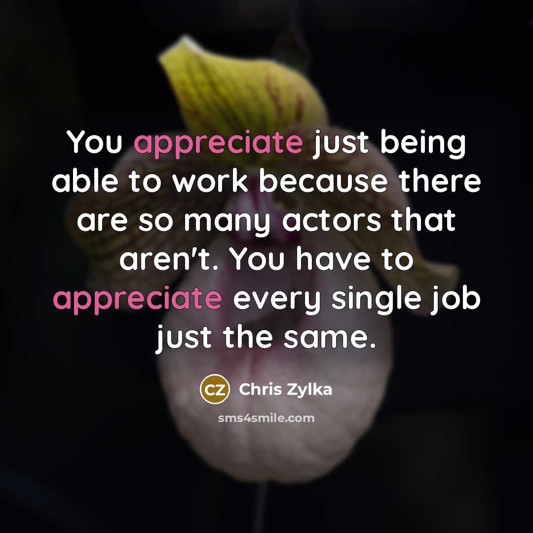 “You appreciate just being able to work because there are…” quote by Chris Zylka