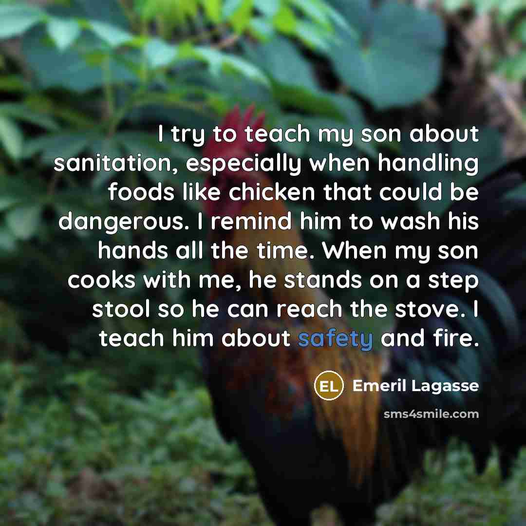 “I try to teach my son about sanitation, especially when…” quote by Emeril Lagasse
