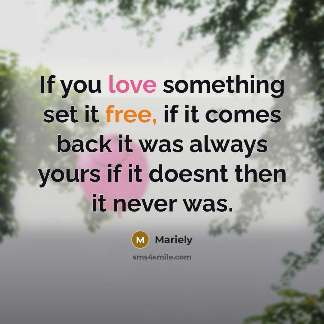“If you love something set it free, if it comes back it was always yours if it doesnt then it never was.” quote by Mariely