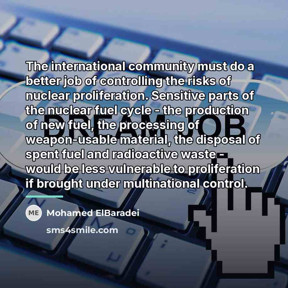 “The international community must do a better job of controlling…” quote by Mohamed ElBaradei