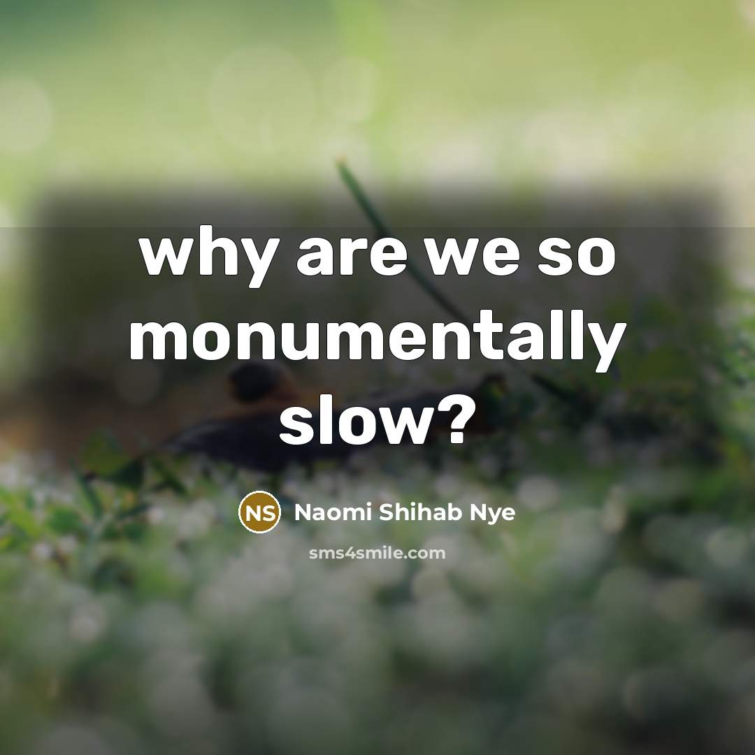 “why are we so monumentally slow?…” quote by Naomi Shihab Nye