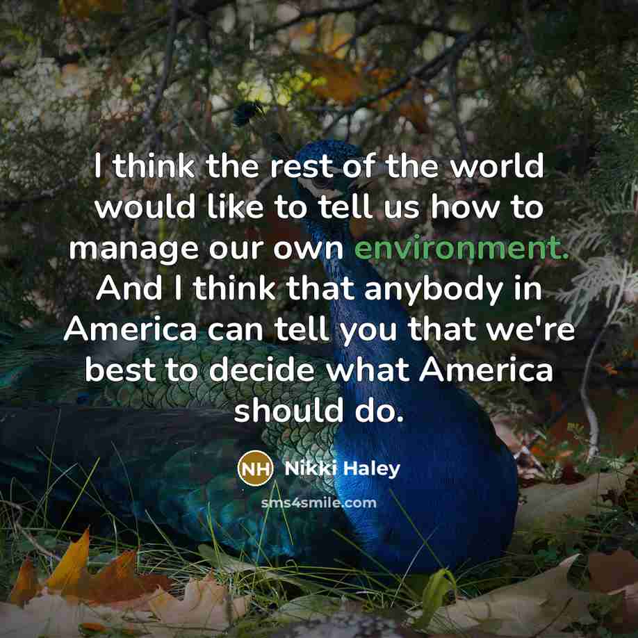 “I think the rest of the world would like to…” quote by Nikki Haley