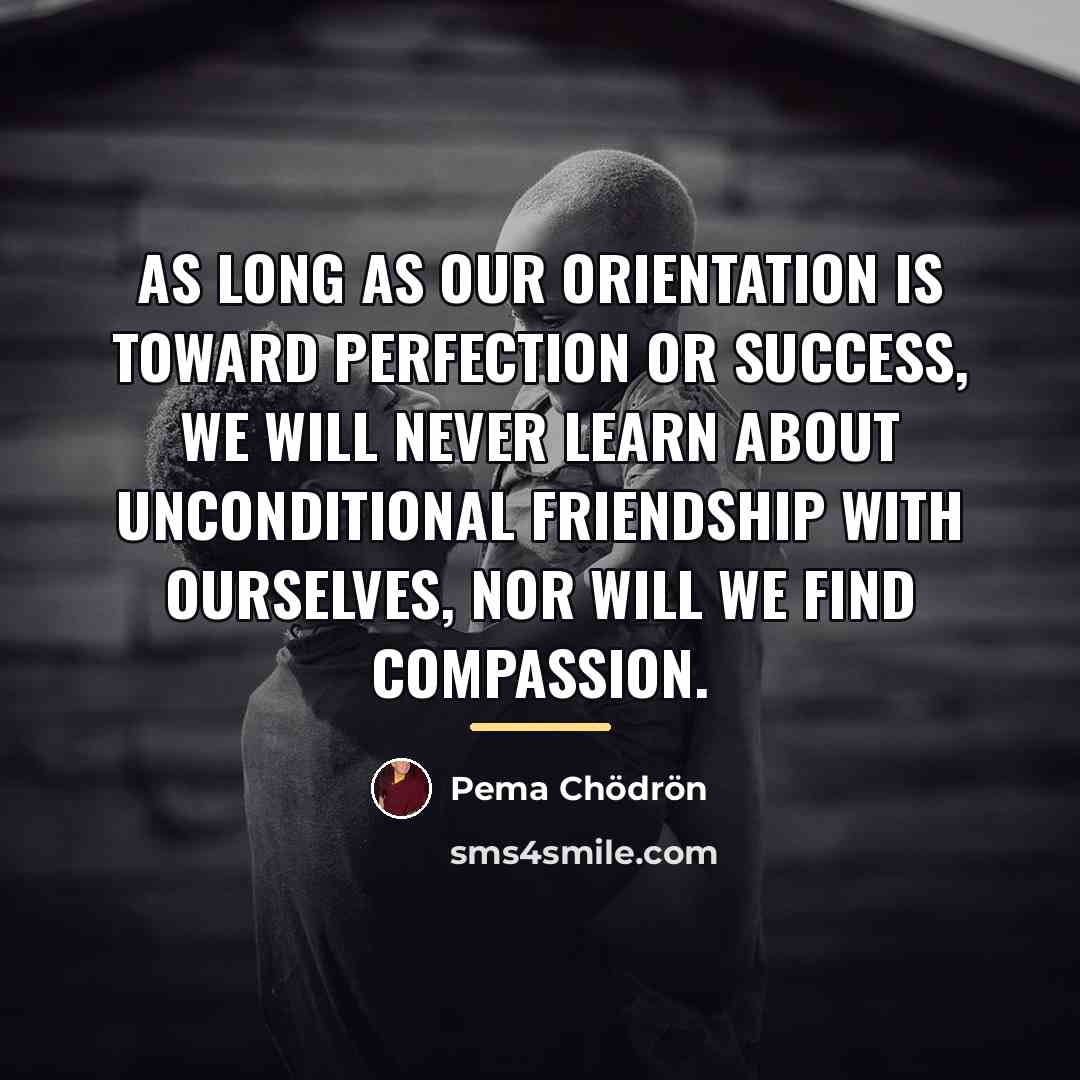 “As long as our orientation is toward perfection or success,…” quote by Pema Chodron