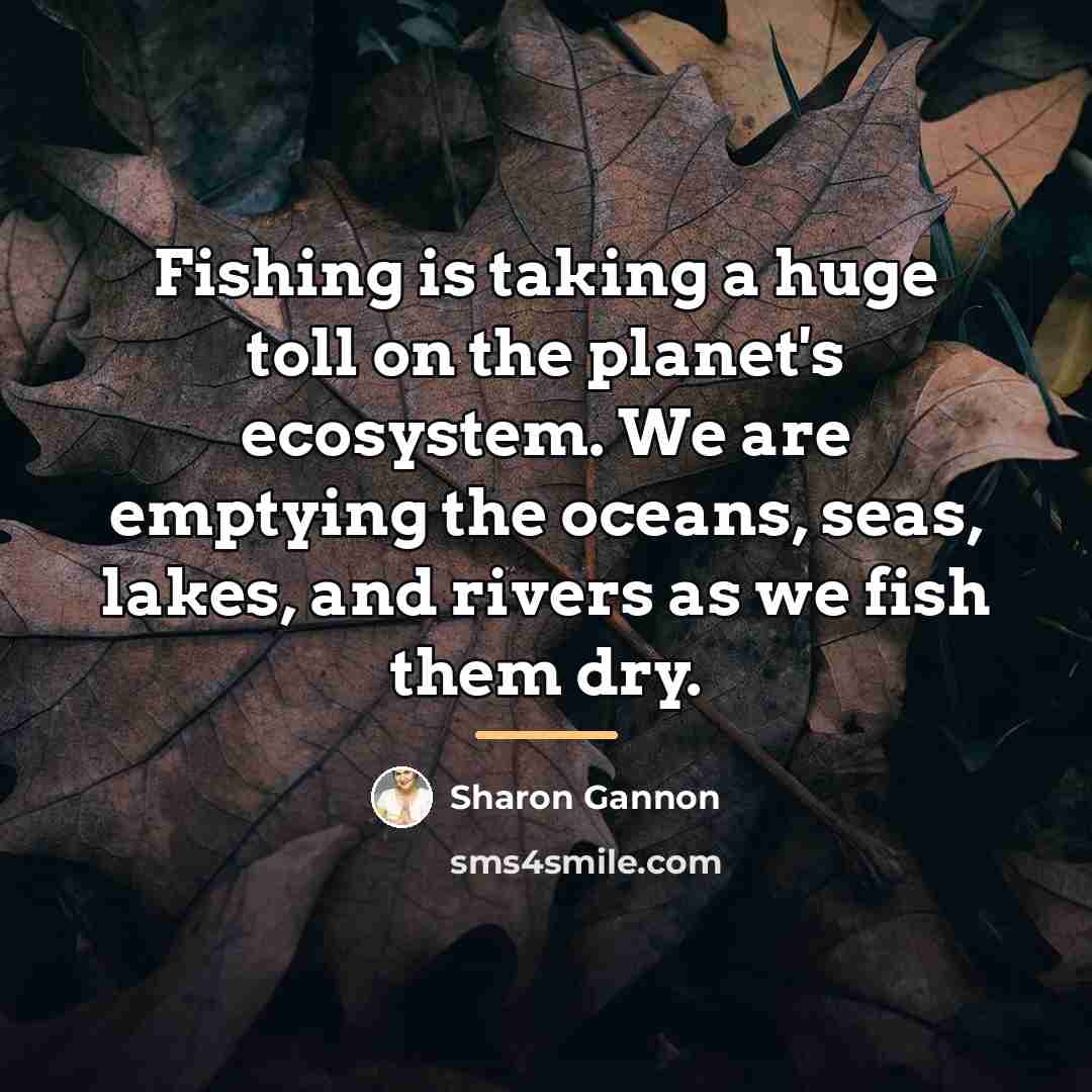 “Fishing is taking a huge toll on the planet's ecosystem.…” quote by Sharon Gannon