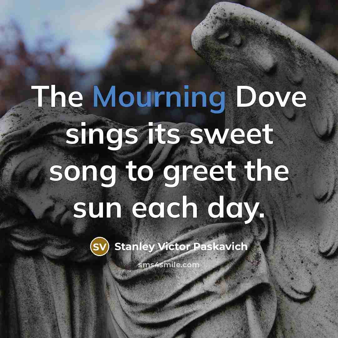 “The Mourning Dove sings its sweet song to greet the…” quote by Stanley Victor Paskavich