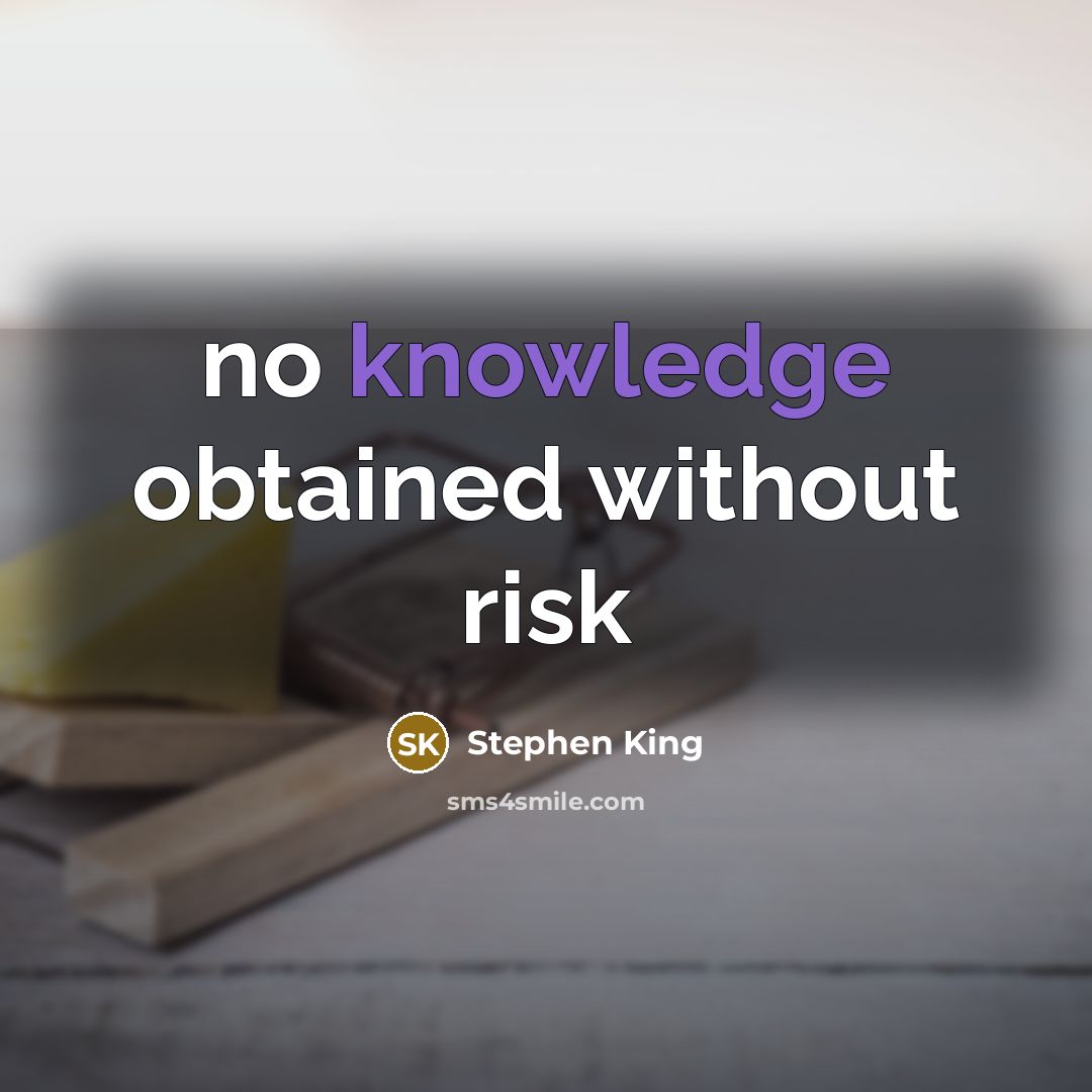 “no knowledge obtained without risk” quote by Stephen King