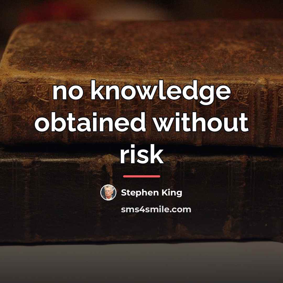 “no knowledge obtained without risk…” quote by Stephen King
