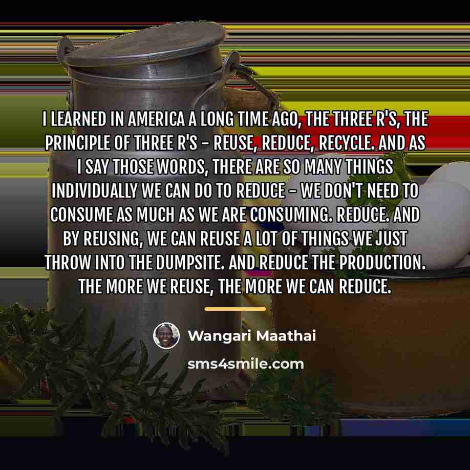 “I learned in America a long time ago, the three…” quote by Wangari Maathai