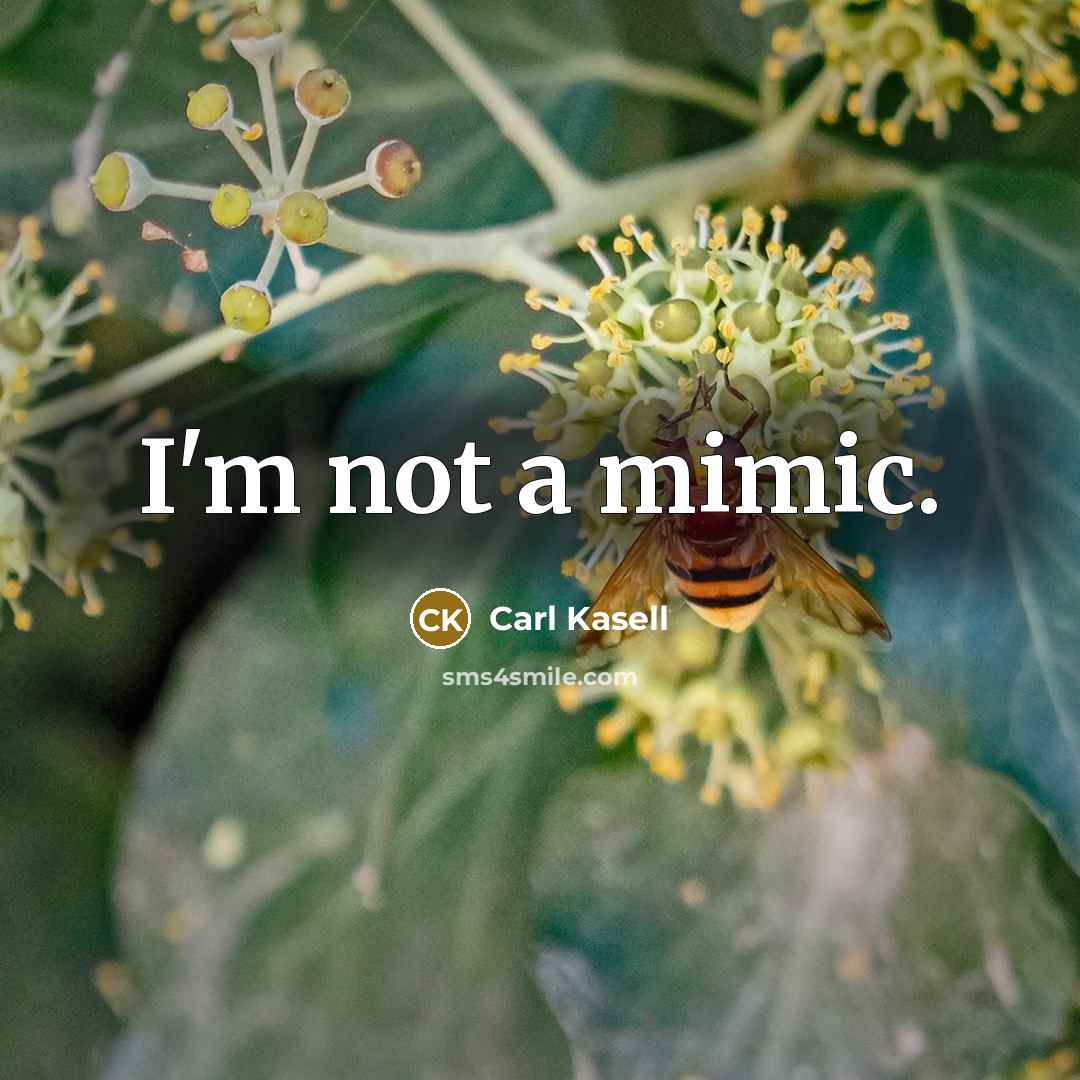 “I'm not a mimic.…” quote by Carl Kasell