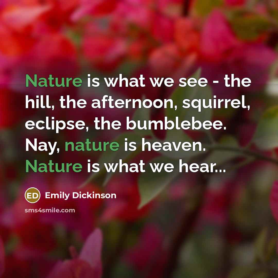 “Nature is what we see - the hill, the afternoon,…” quote by Emily Dickinson
