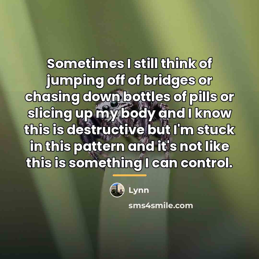 “Sometimes I still think of jumping off of bridges or…” quote by Lynn