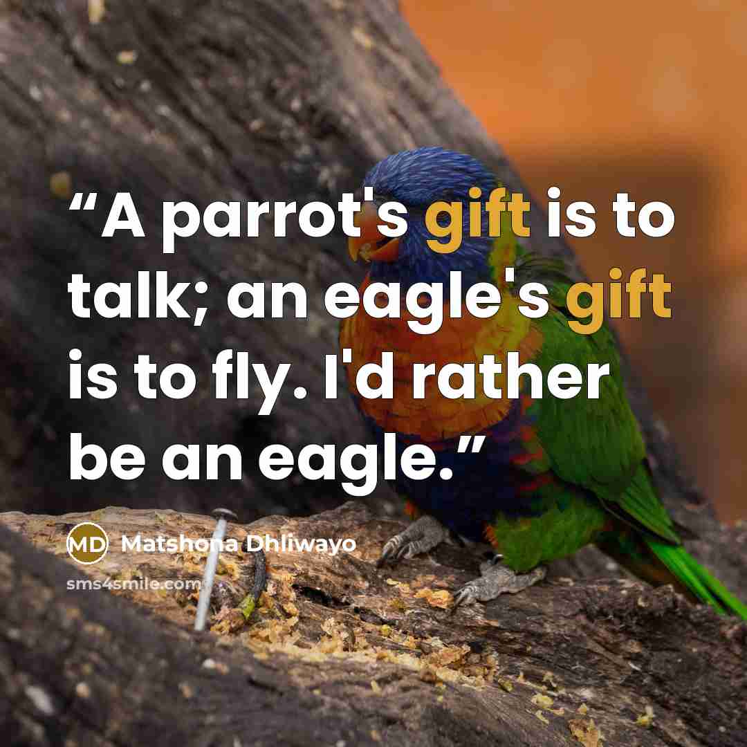“A parrot's gift is to talk; an eagle's gift is to fly. I'd rather be an eagle.” quote by Matshona Dhliwayo