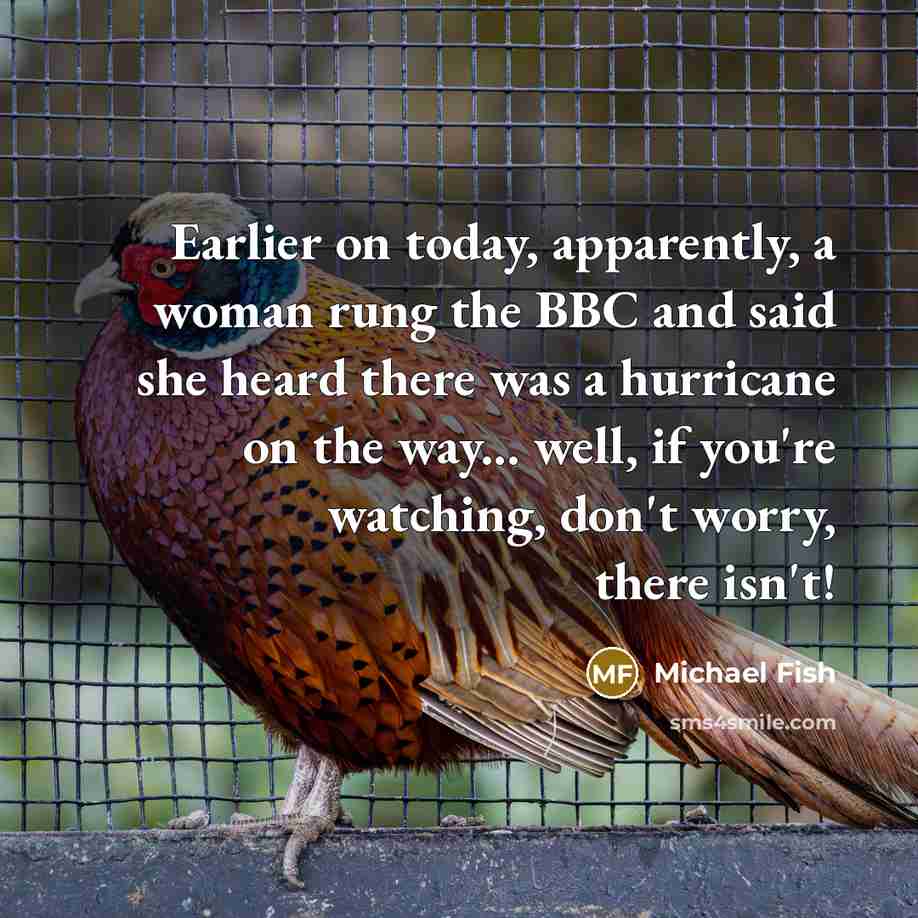 “Earlier on today, apparently, a woman rung the BBC and…” quote by Michael Fish