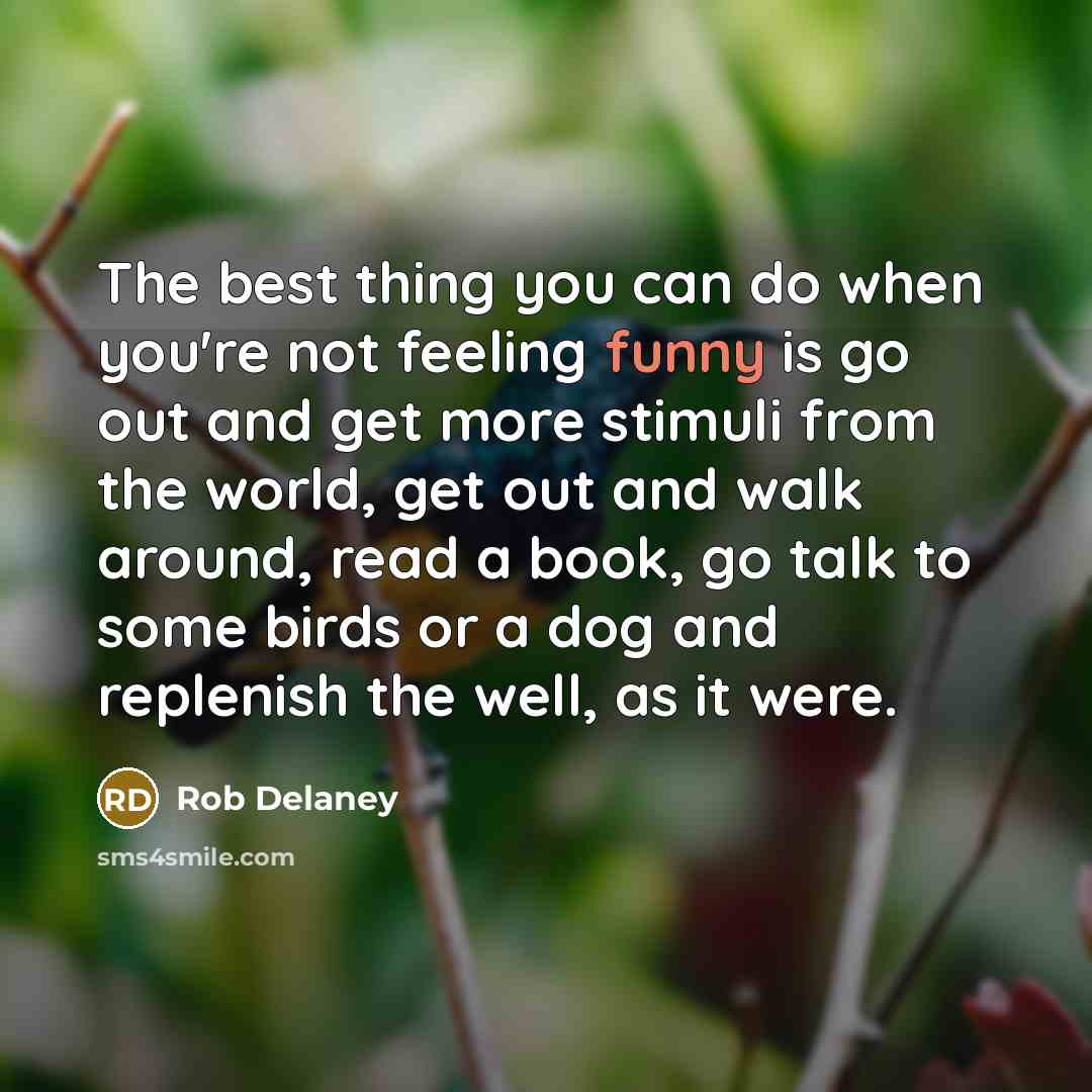 “The best thing you can do when you're not feeling…” quote by Rob Delaney