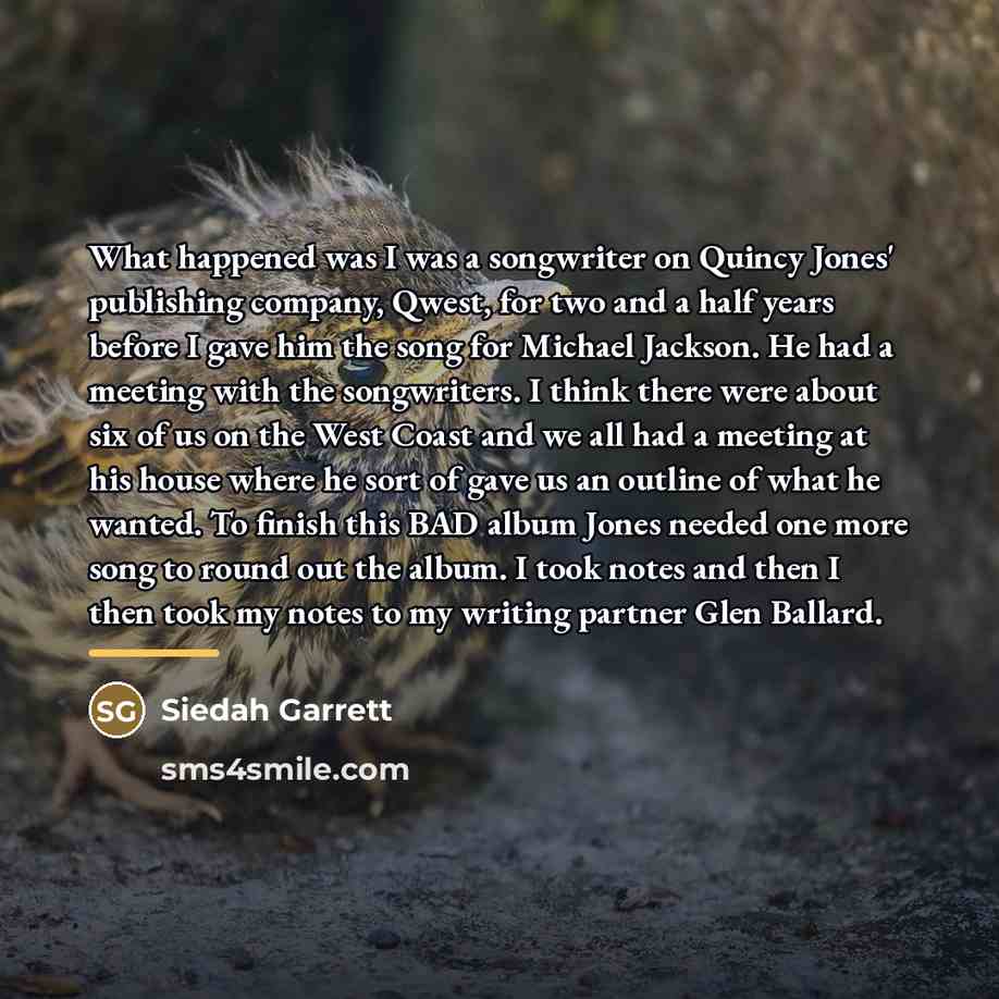 “What happened was I was a songwriter on Quincy Jones'…” quote by Siedah Garrett