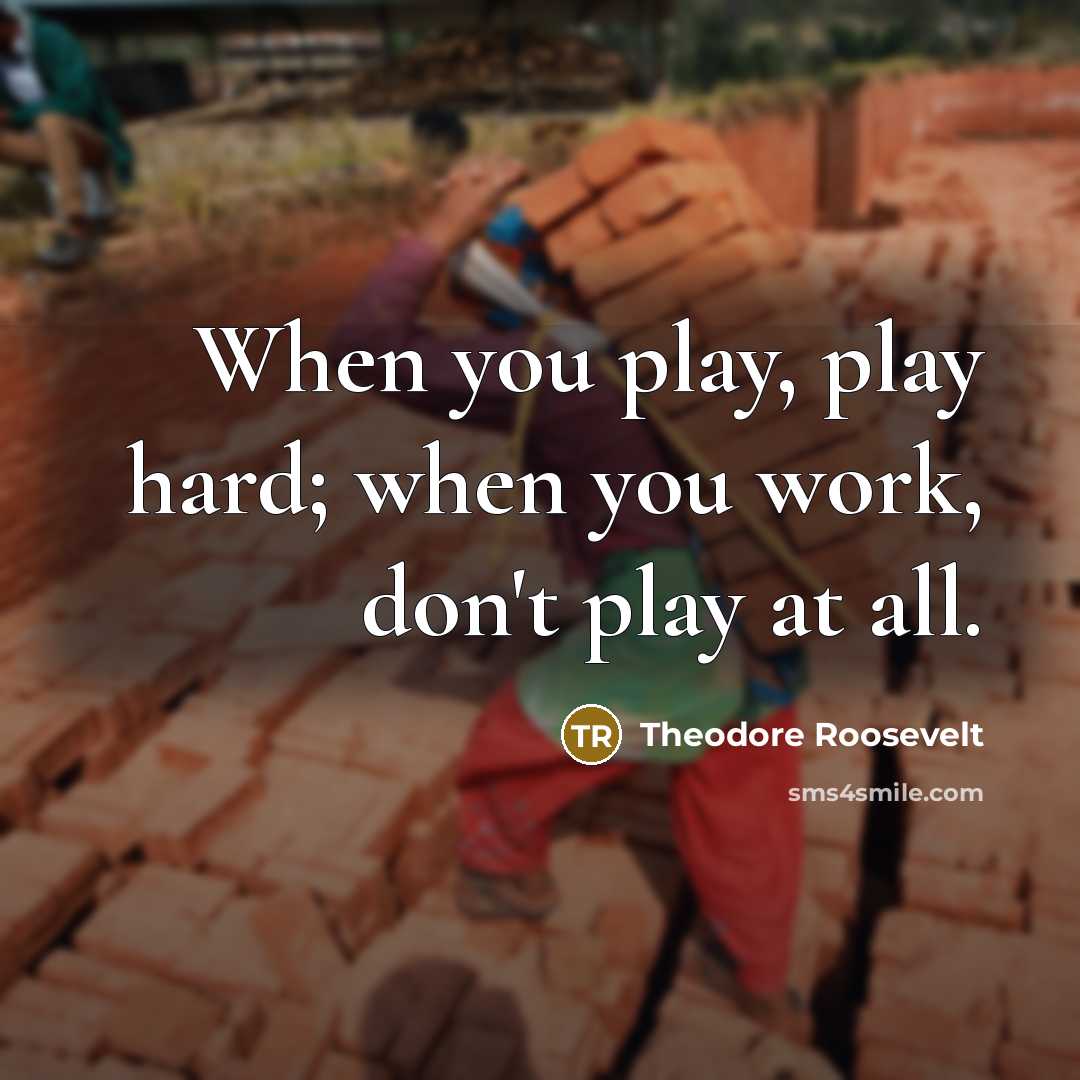 “When you play, play hard; when you work, don't play…” quote by Theodore Roosevelt