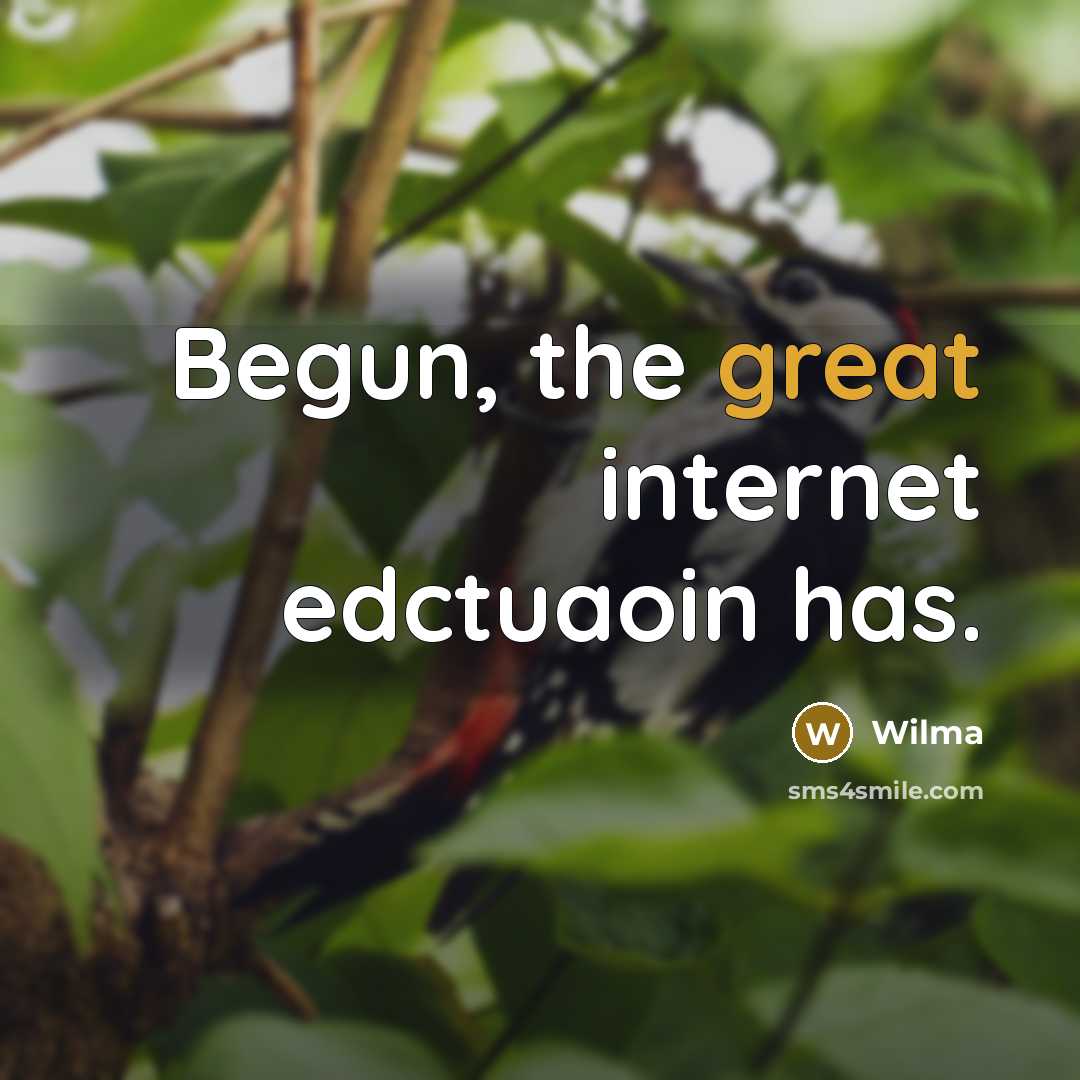 “Begun, the great internet edctuaoin has.” quote by Wilma