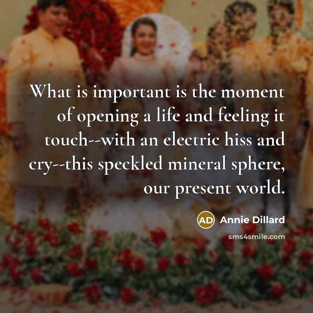 “What is important is the moment of opening a life…” quote by Annie Dillard