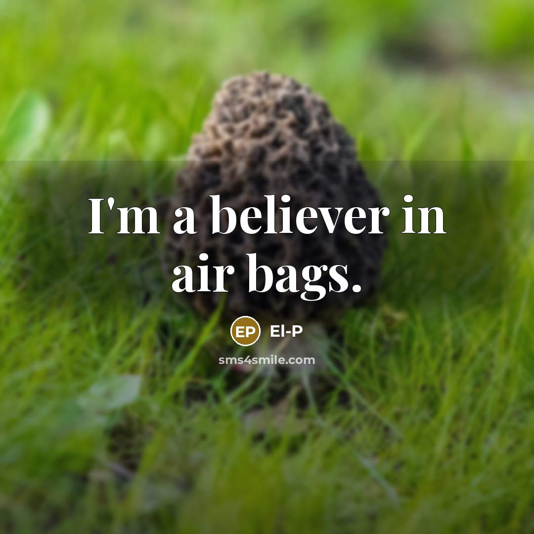 “I'm a believer in air bags.…” quote by El-P