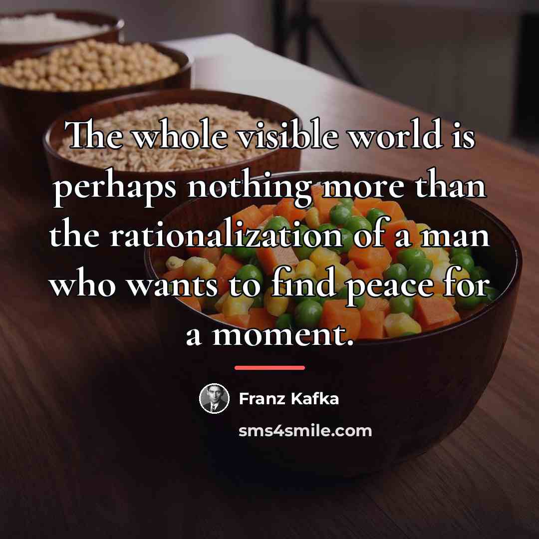 “The whole visible world is perhaps nothing more than the…” quote by Franz Kafka