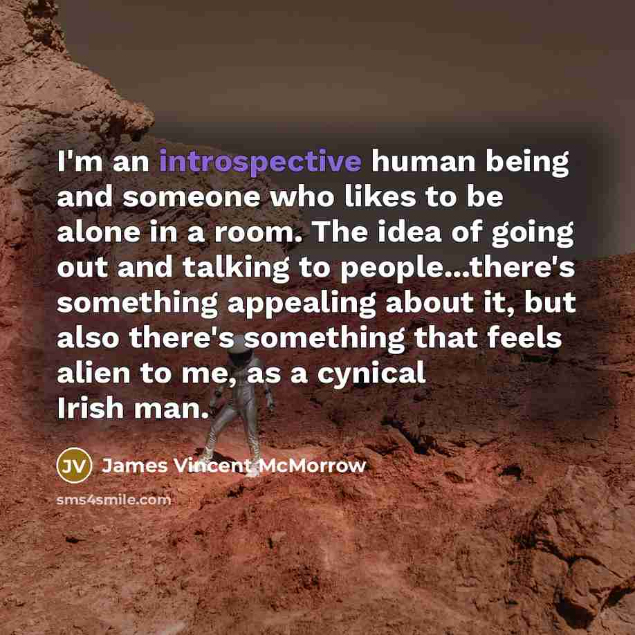 “I'm an introspective human being and someone who likes to…” quote by James Vincent McMorrow