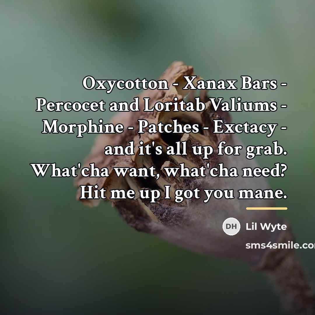 “Oxycotton - Xanax Bars - Percocet and Loritab Valiums -…” quote by Lil Wyte