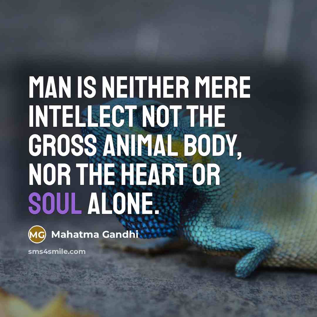 “Man is neither mere intellect not the gross animal body,…” quote by Mahatma Gandhi