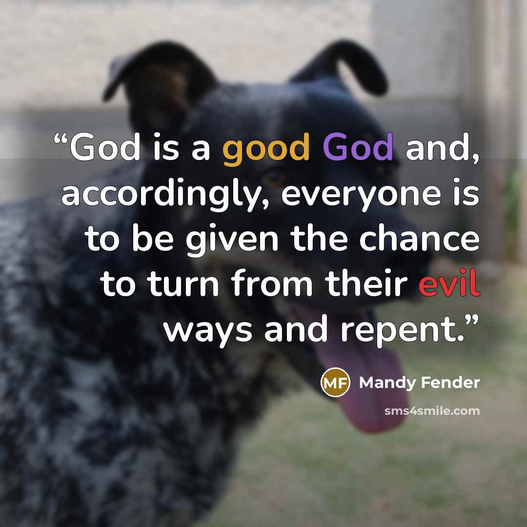 “God is a good God and, accordingly, everyone is to be given the chance to turn from their evil ways and repent.” quote by Mandy Fender