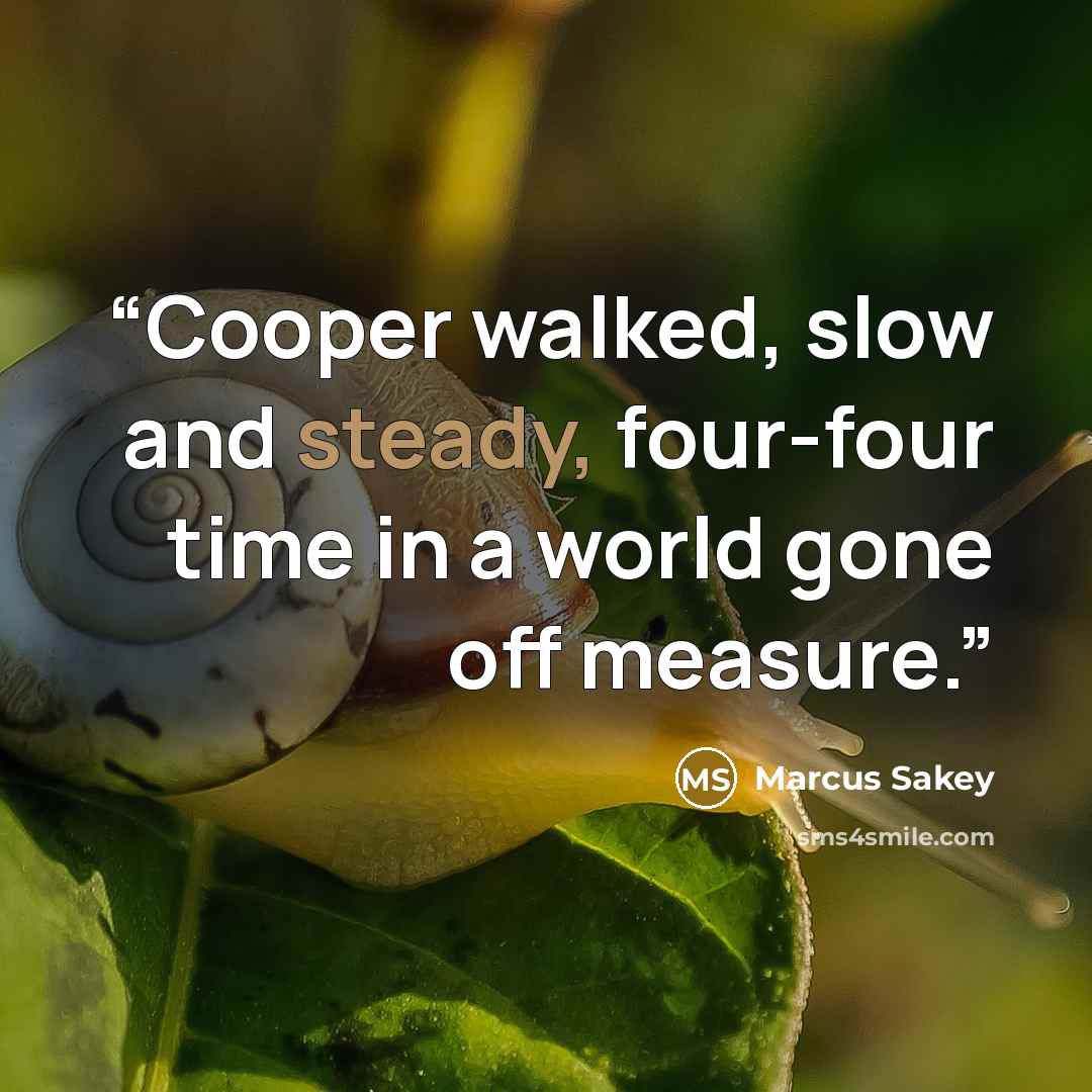 “Cooper walked, slow and steady, four-four time in a world gone off measure.” quote by Marcus Sakey