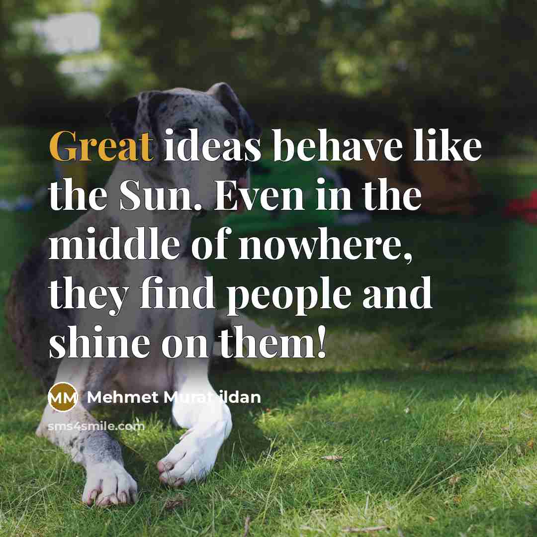“Great ideas behave like the Sun. Even in the middle…” quote by Mehmet Murat Ildan