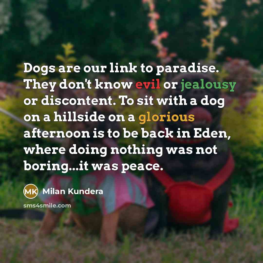 “Dogs are our link to paradise. They don't know evil…” quote by Milan Kundera