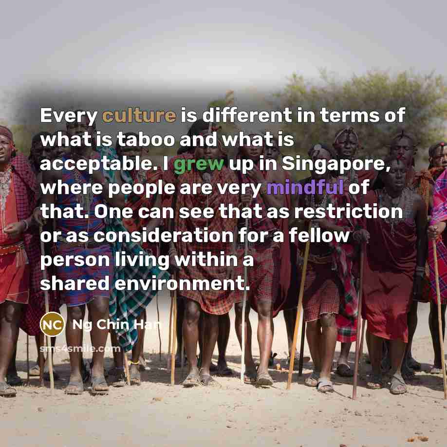 “Every culture is different in terms of what is taboo…” quote by Ng Chin Han