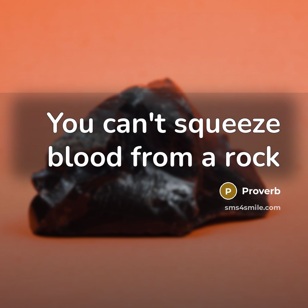 “You can't squeeze blood from a rock” quote by Proverb