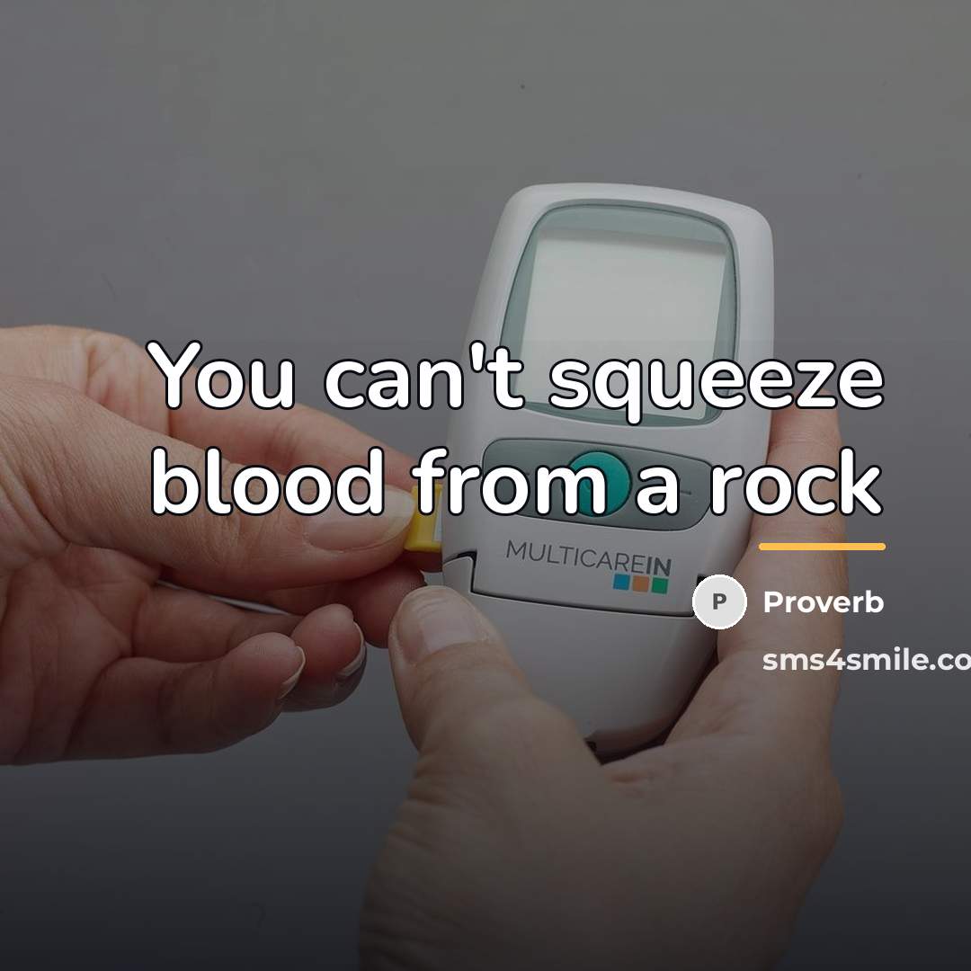 “You can't squeeze blood from a rock…” quote by Proverb