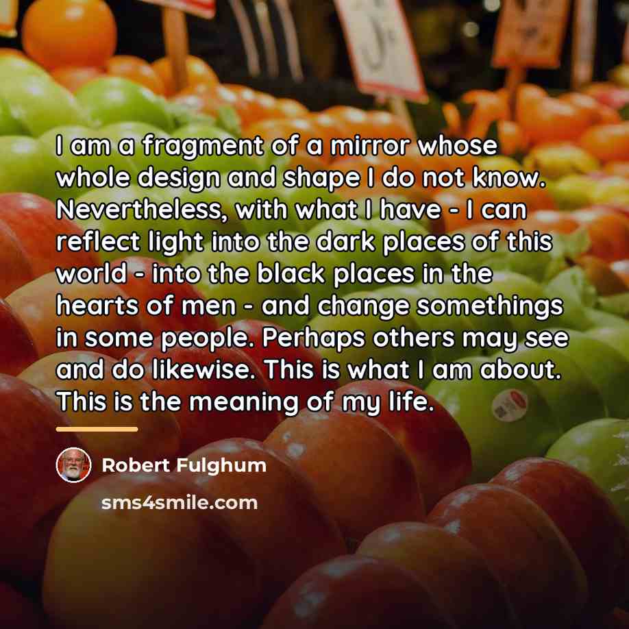 “I am a fragment of a mirror whose whole design…” quote by Robert Fulghum