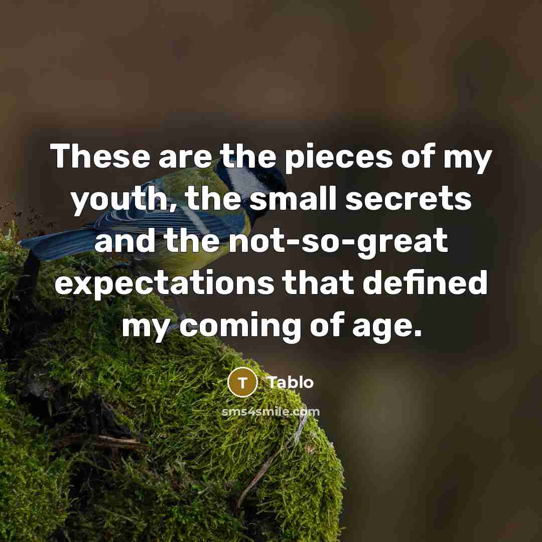 “These are the pieces of my youth, the small secrets…” quote by Tablo