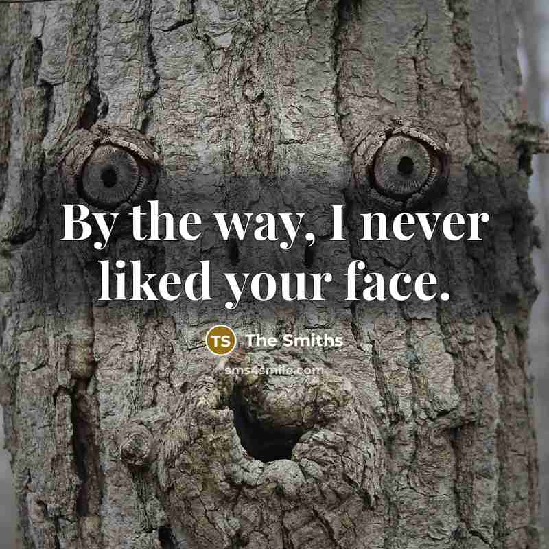 “By the way, I never liked your face.” quote by The Smiths