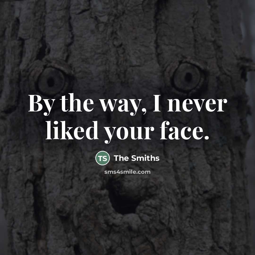 “By the way, I never liked your face.…” quote by The Smiths