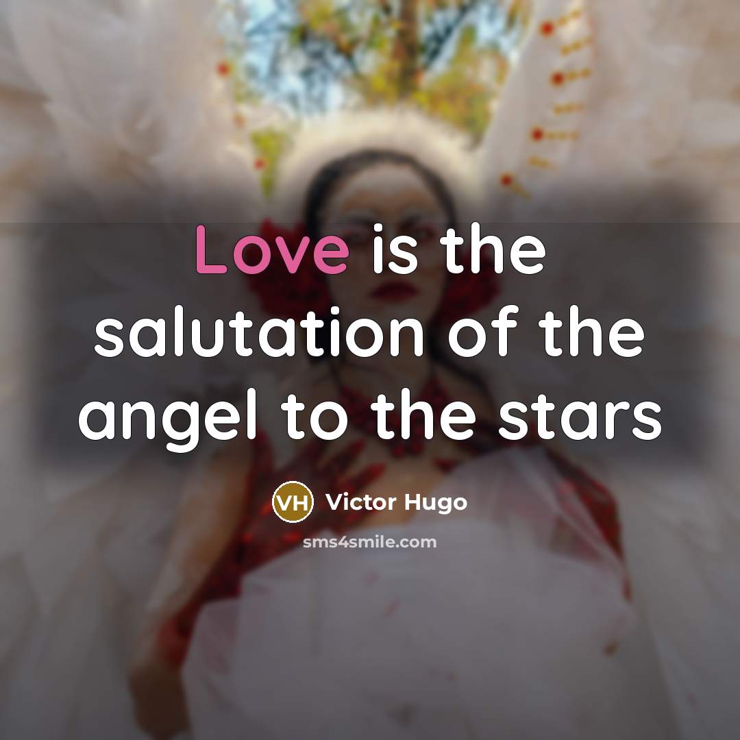 “Love is the salutation of the angel to the stars…” quote by Victor Hugo