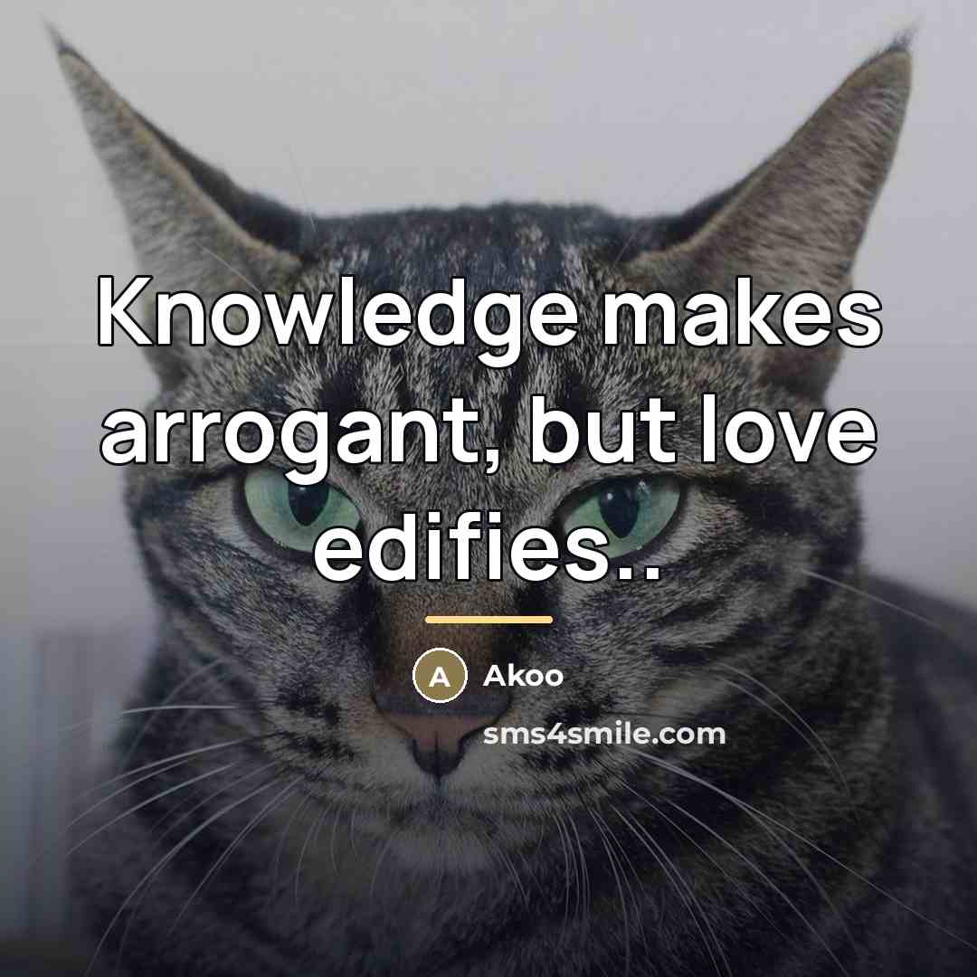“Knowledge makes arrogant, but love edifies..…” quote by Akoo
