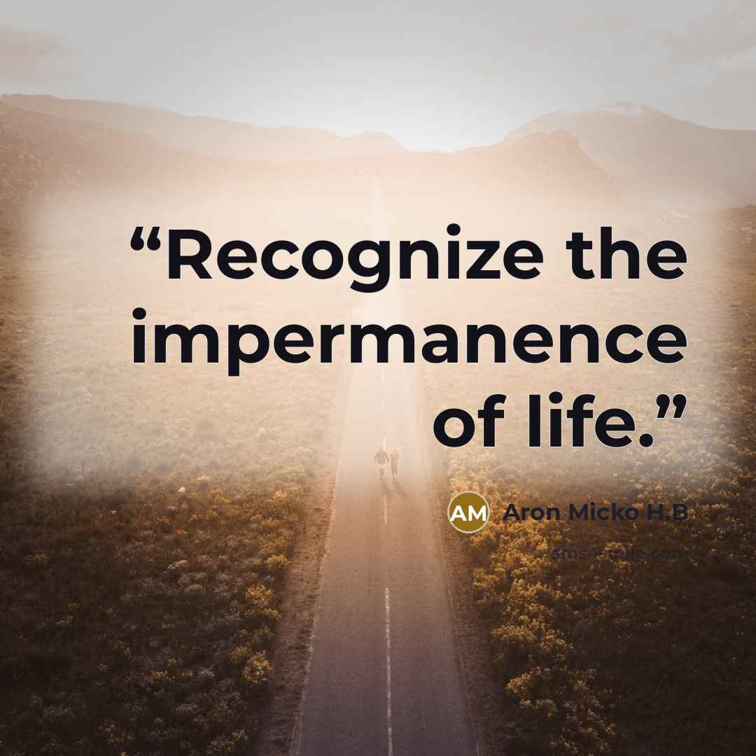 “Recognize the impermanence of life.” quote by Aron Micko H.B