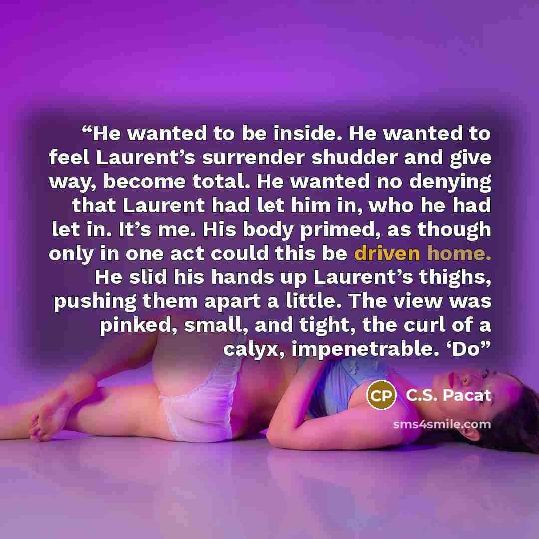 “He wanted to be inside. He wanted to feel Laurent’s surrender shudder and give way, become total. He wanted no denying that Laurent had let him in, who he had let in. It’s me. His body primed, as though only in one act could this be driven home. He slid his hands up Laurent’s thighs, pushing them…” quote by C.S. Pacat