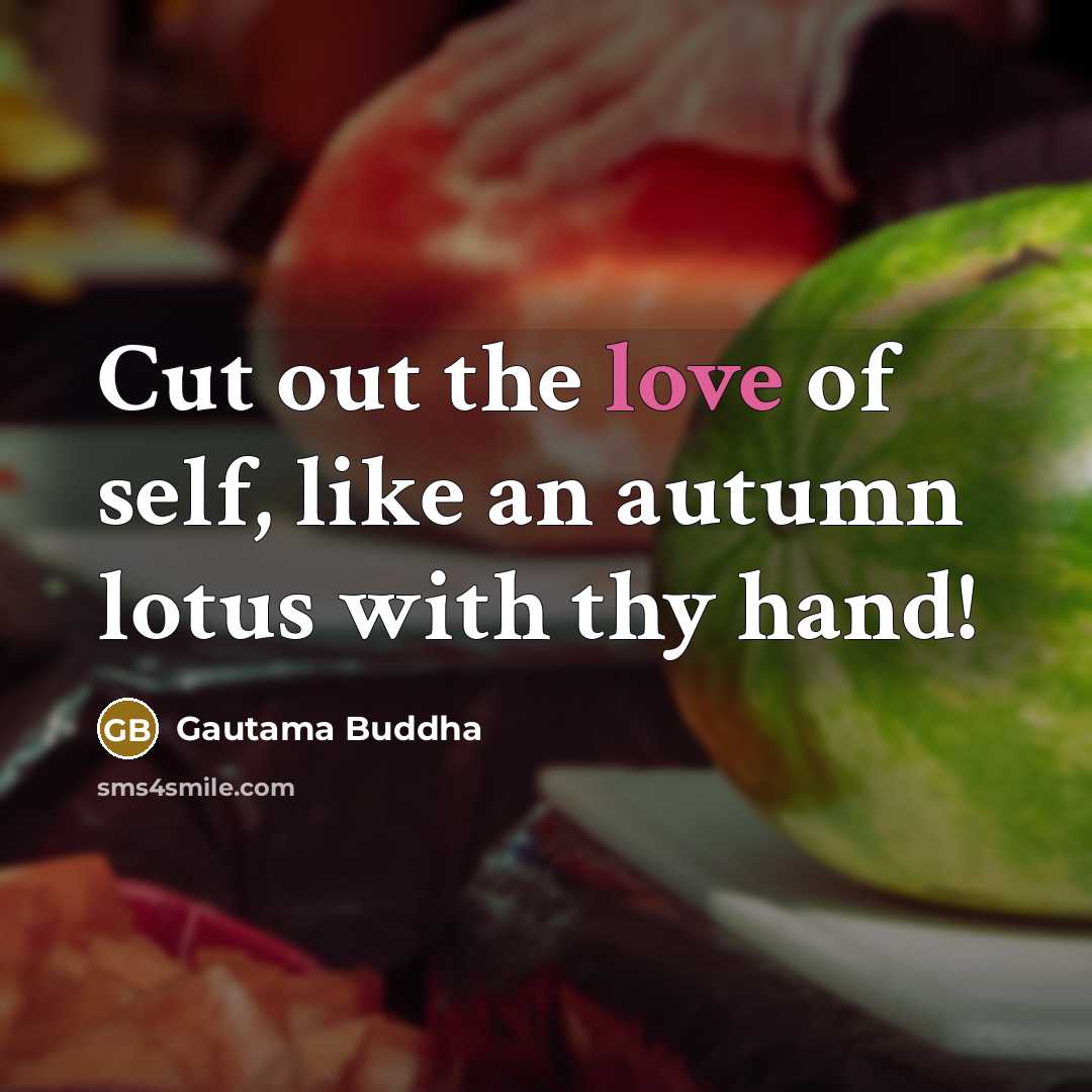 “Cut out the love of self, like an autumn lotus…” quote by Gautama Buddha