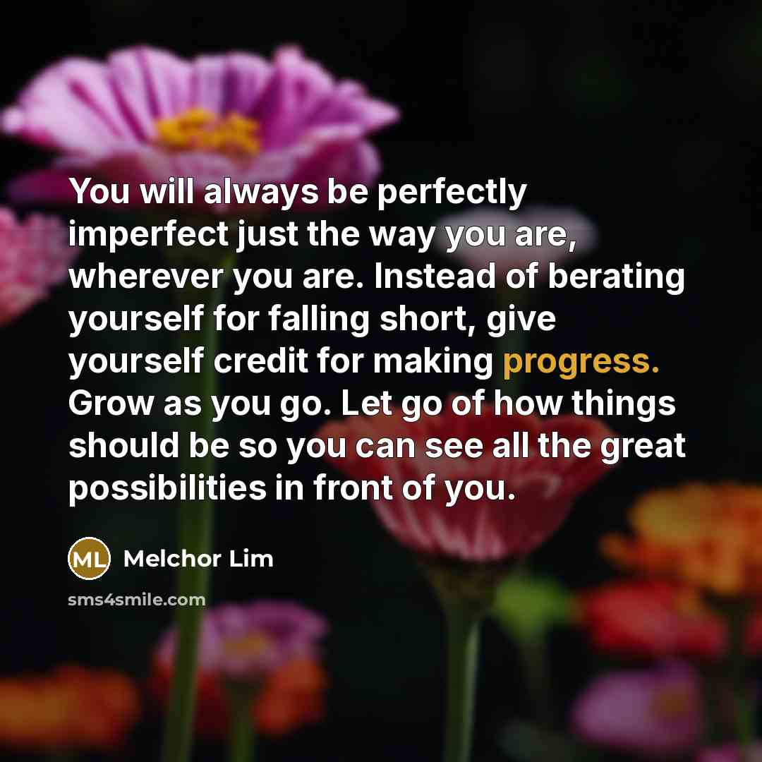 “You will always be perfectly imperfect just the way you…” quote by Melchor Lim