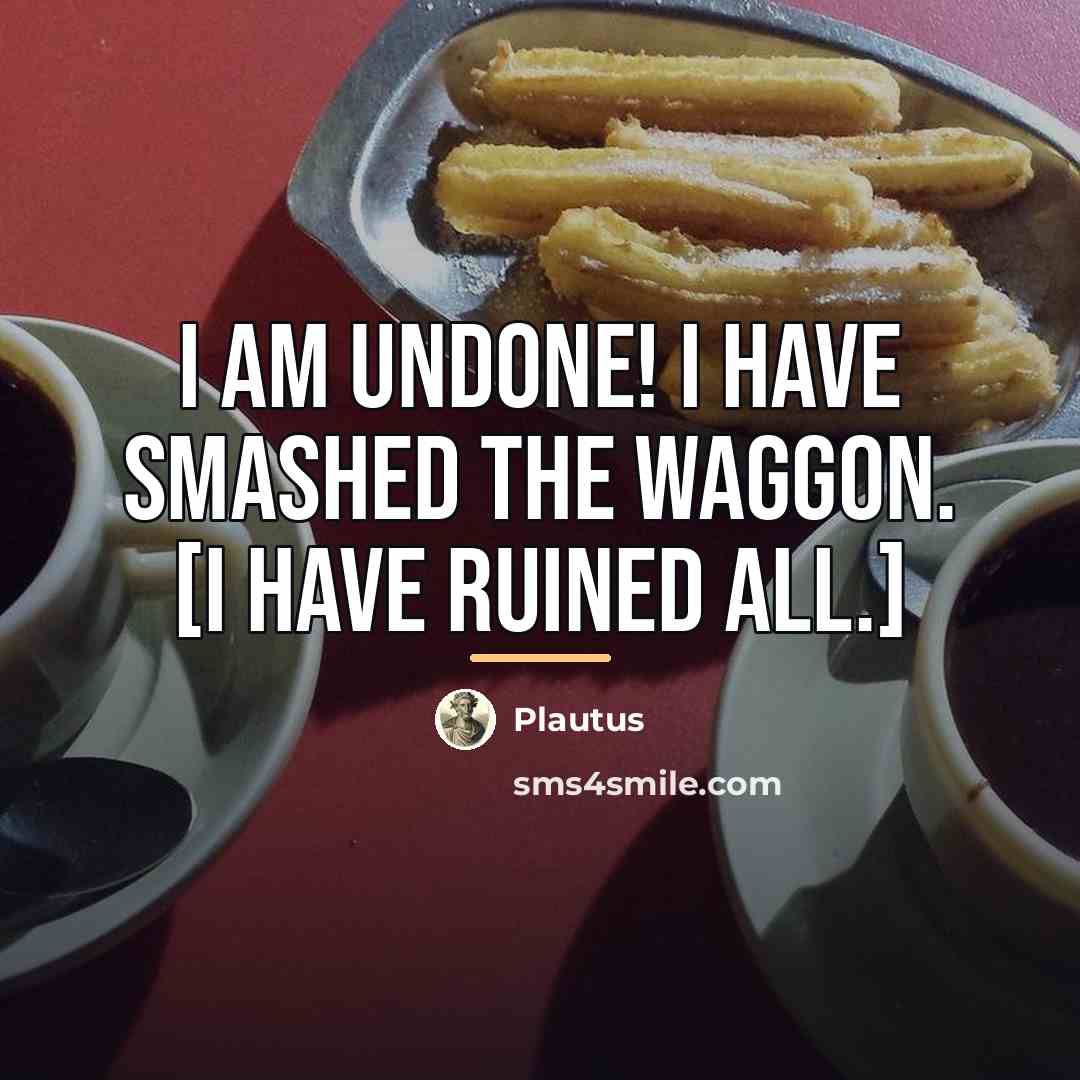 “I am undone! I have smashed the waggon. [I have…” quote by Plautus